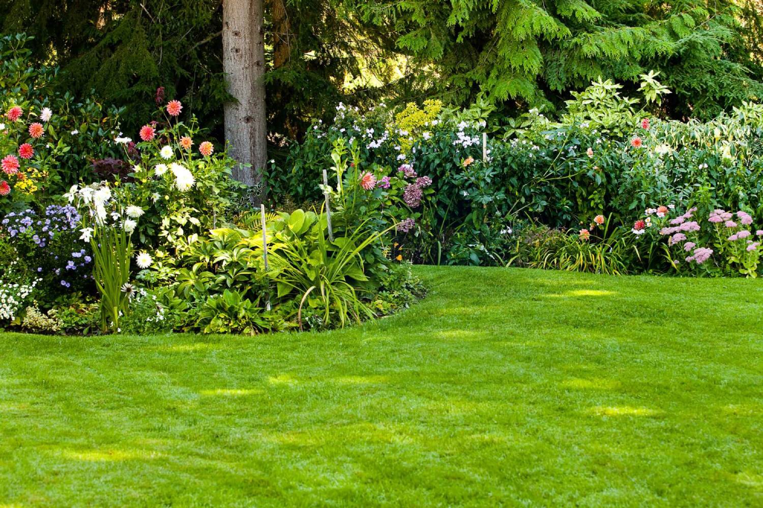 Garden Maintenance Tips for Greenville, SC | Greenville Yard Pros